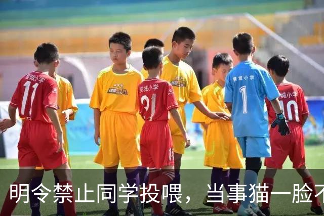 明令禁止同学投喂，当事猫一脸不爽，把“禁令”当空气！